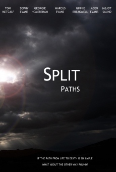 Split Paths on-line gratuito