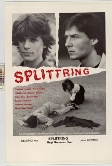 Splittring (1984)