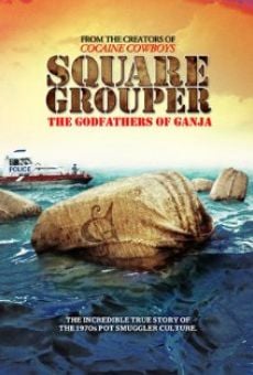 Película: Square Grouper