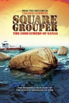 Square Grouper