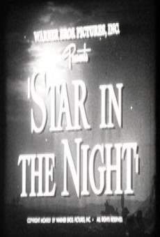 Star in the night