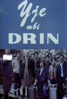 Yje mbi Drin (1978)