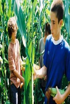 Película: Stealing the Corn