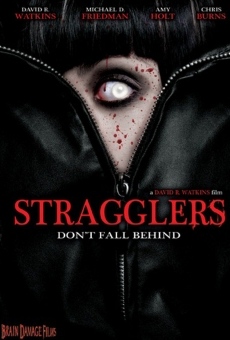 Stragglers online streaming
