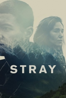 Stray online streaming