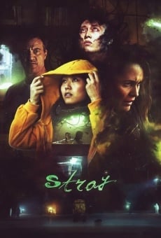 Stray, película en español