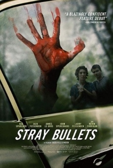 Stray Bullets online streaming