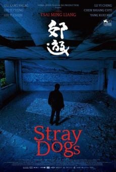 Jiaoyou (Stray Dogs) (2013)