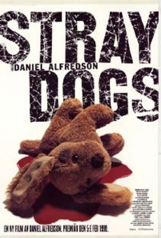 Película: Straydogs