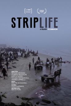 Striplife-Gaza in a Day online streaming