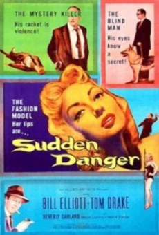 Sudden Danger (1955)