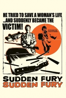 Sudden Fury online streaming