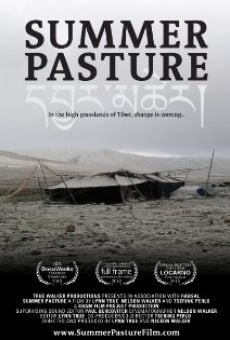 Película: Summer Pasture