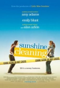 Sunshine Cleaning online streaming