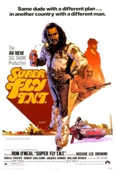 Super Fly T.N.T. online streaming