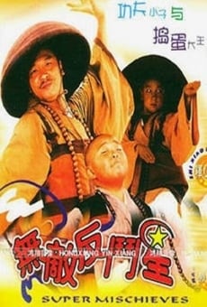 Wu di fan dou xing (1995)