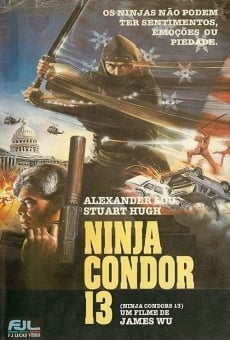 Ninjas, Condors 13 (1988)