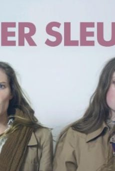 Super Sleuths (2014)