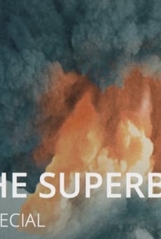 Película: Superbombas