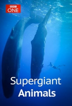 Película: Supergiant Animals