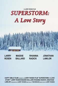 Película: Superstorm A Love Story