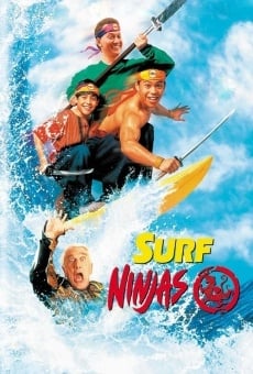 Les fous du surf ninja en ligne gratuit
