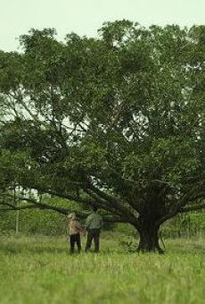 Película: Talk to the Tree