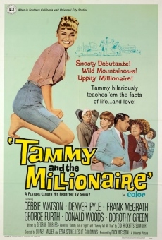 Tammy and the Millionaire (1967)