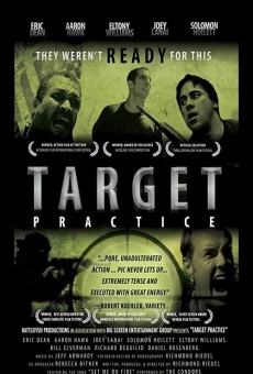 Target Practice on-line gratuito