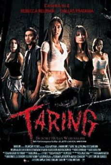 Taring online streaming