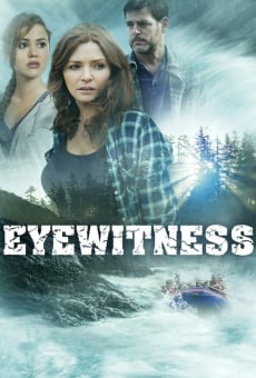 Eyewitness - Testimone involontaria online streaming