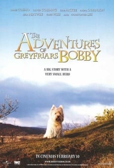 The Adventures of Greyfriars Bobby, película en español