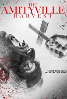 The Amityville Harvest online streaming