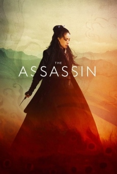 The Assassin online streaming