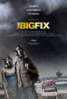 Película: The Big Fix