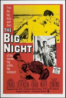 The Big Night online streaming