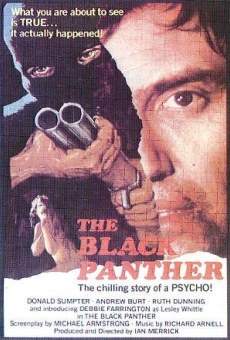 Película: The Black Panther