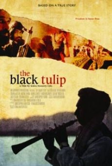 The Black Tulip on-line gratuito