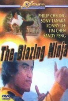 The Blazing Ninja on-line gratuito