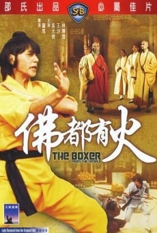 Película: The Boxer from the Temple
