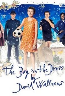 The Boy in the Dress (2014)