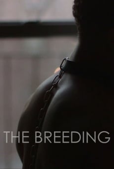 The Breeding online streaming