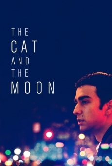 Película: El gato y la luna