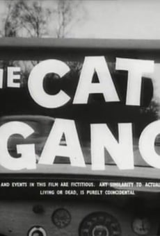Película: La pandilla de gatos