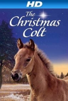 The Christmas Colt gratis