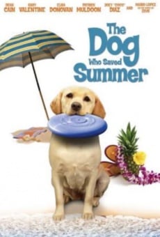 Película: The Dog who Saved Summer