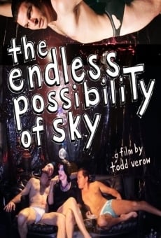 The Endless Possibility of Sky (2012)
