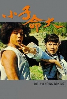 Xiao zi ming da (1979)