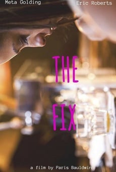The Fix online streaming
