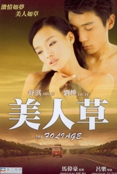 Mei ren cao (2003)
